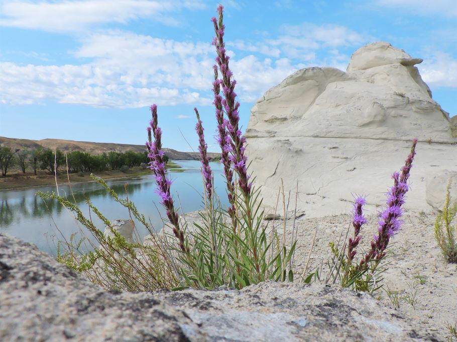 Photo contest picture: not available