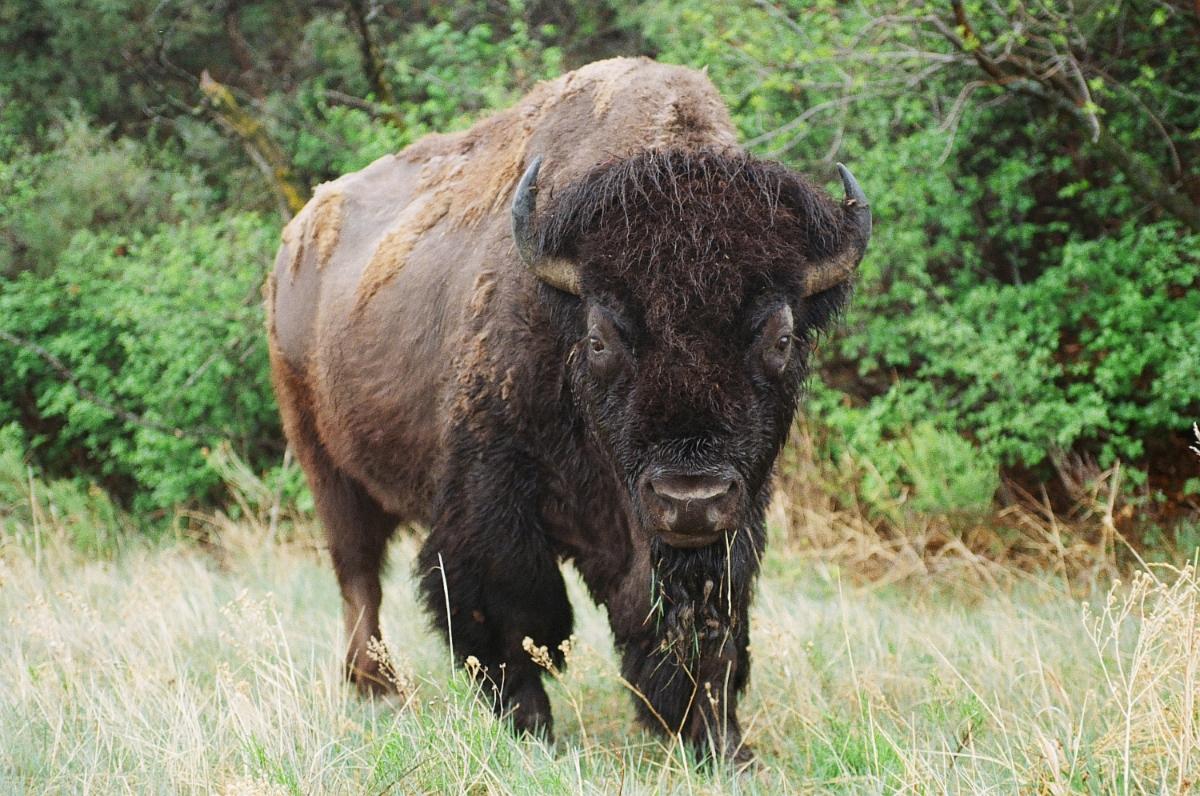 Photo contest picture: not available