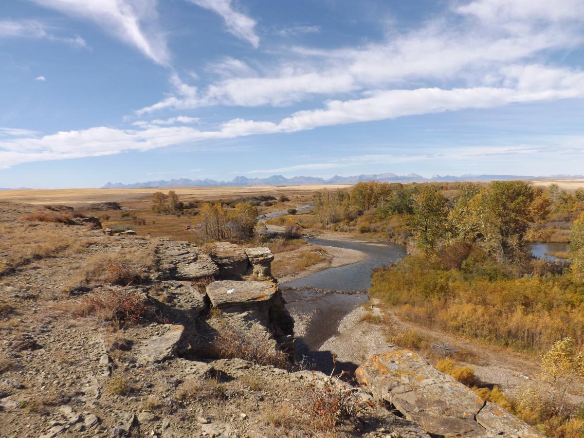 Photo contest picture: not available