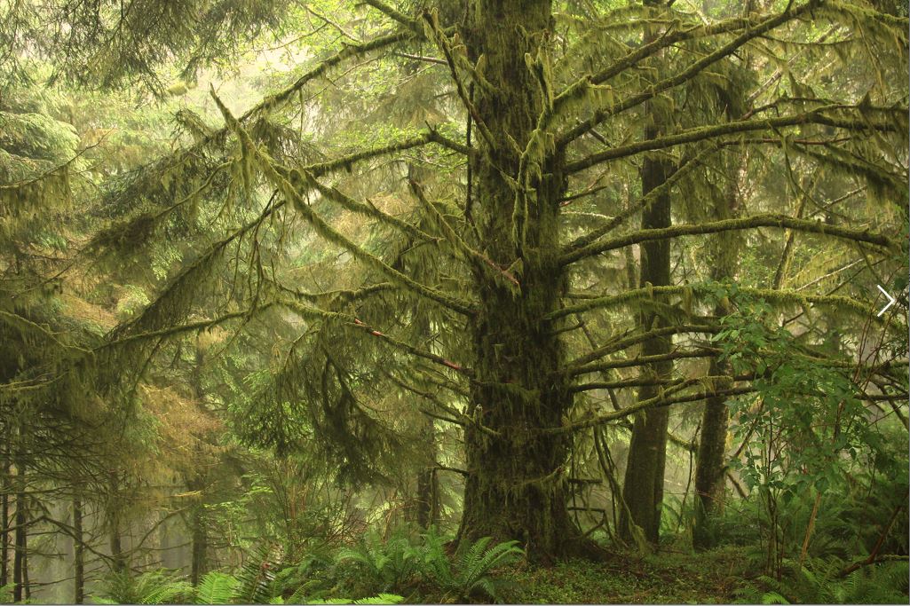 Photo contest picture: not available