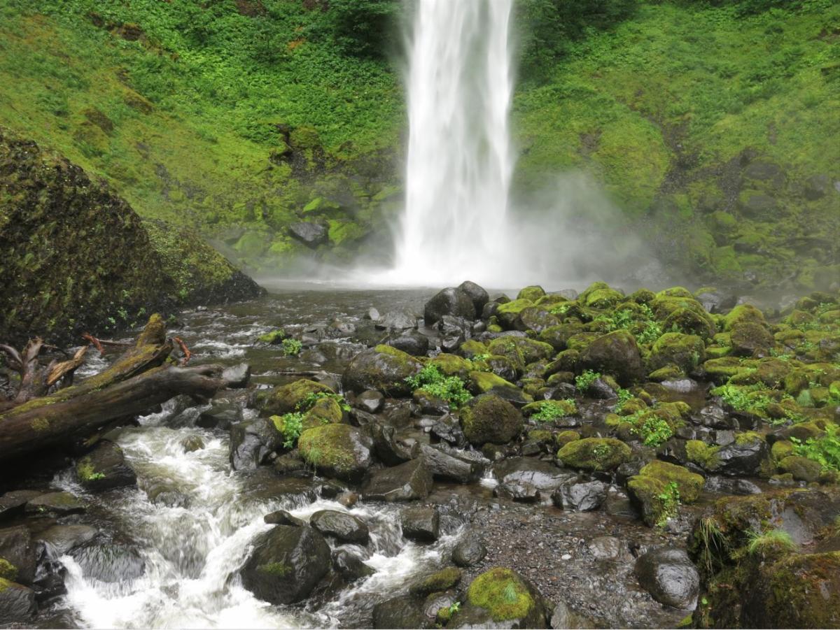 Photo contest picture: not available