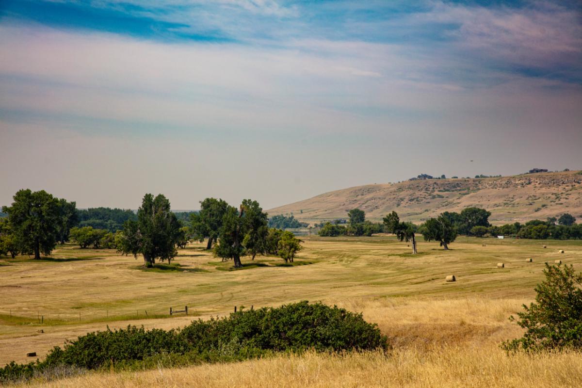 Photo contest picture: not available