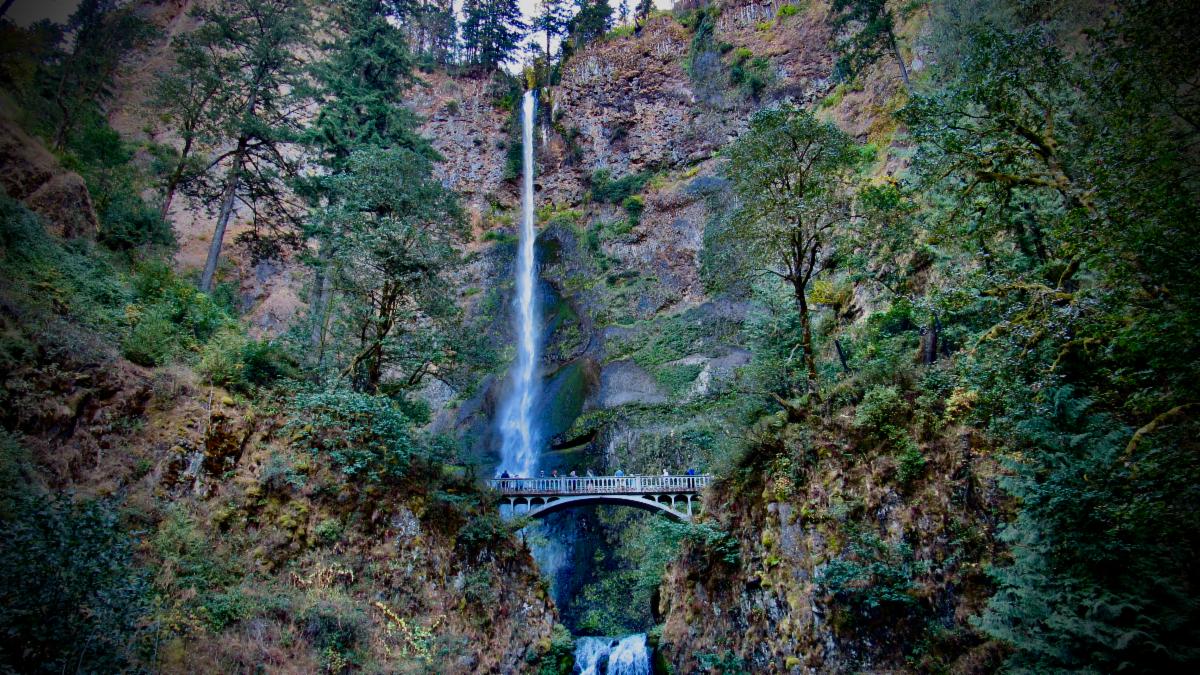 Photo contest picture: not available