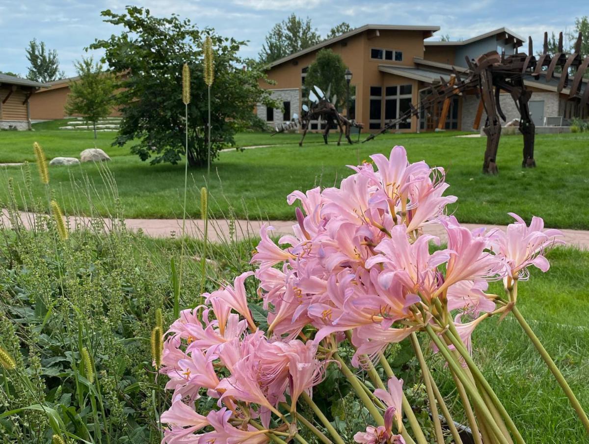 Photo contest picture: not available