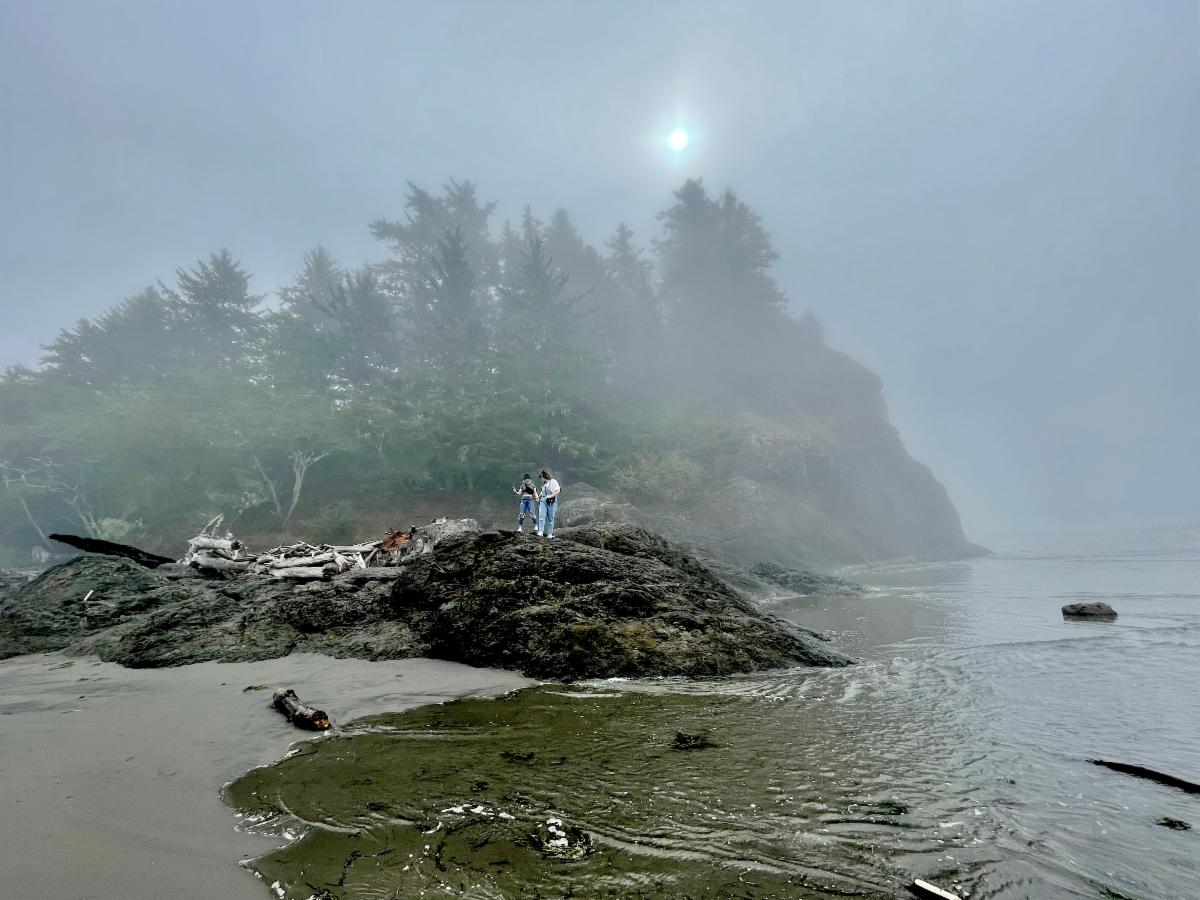 Photo contest picture: not available