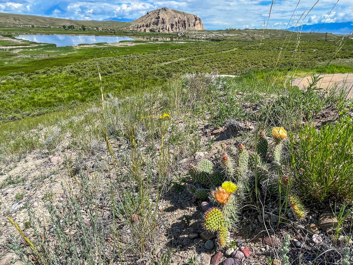 Photo contest picture: not available