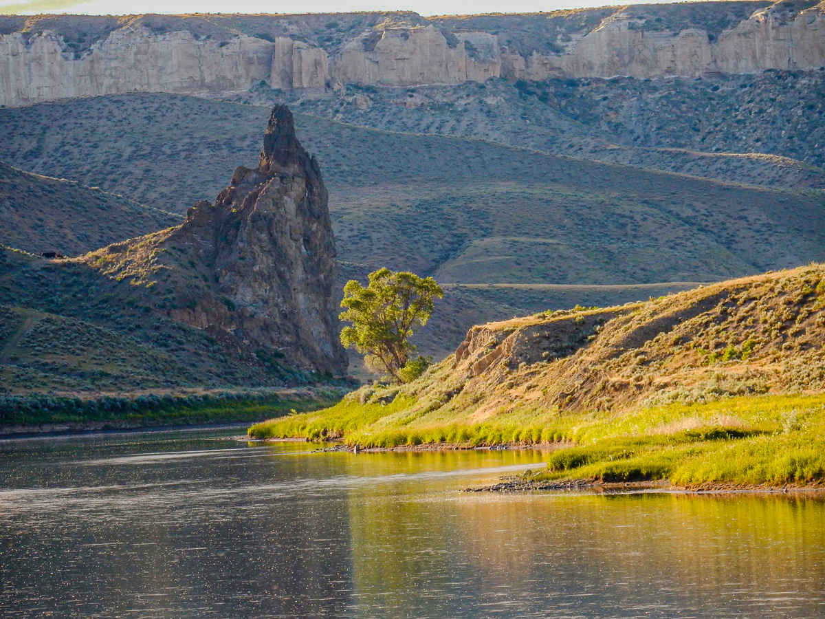 Photo contest picture: not available