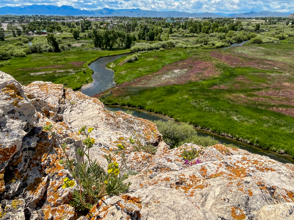 Photo contest picture: not available