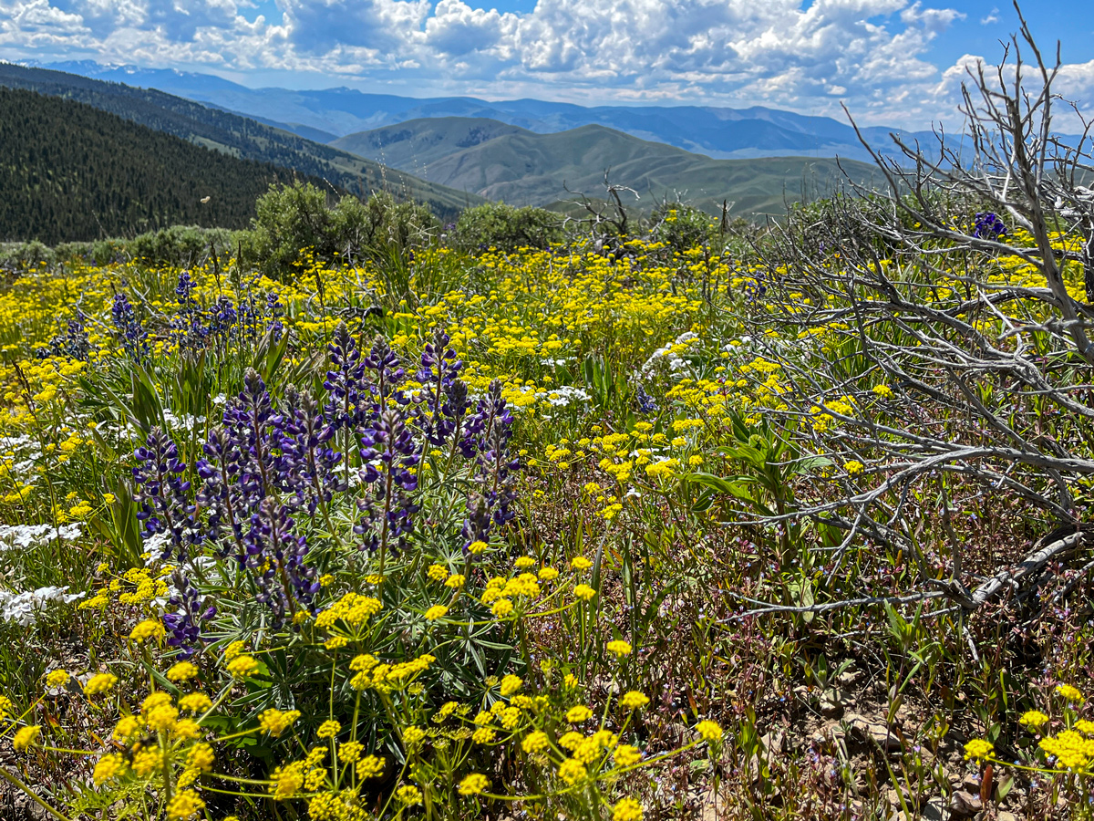 Photo contest picture: not available