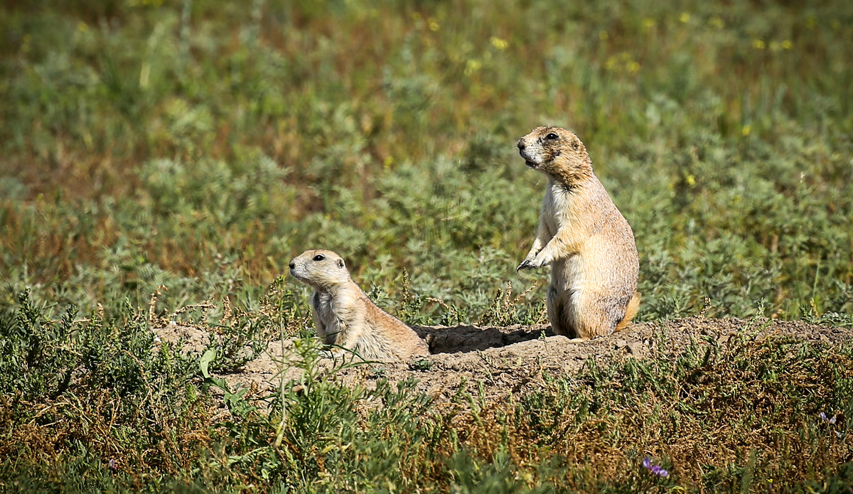 Photo contest picture: not available