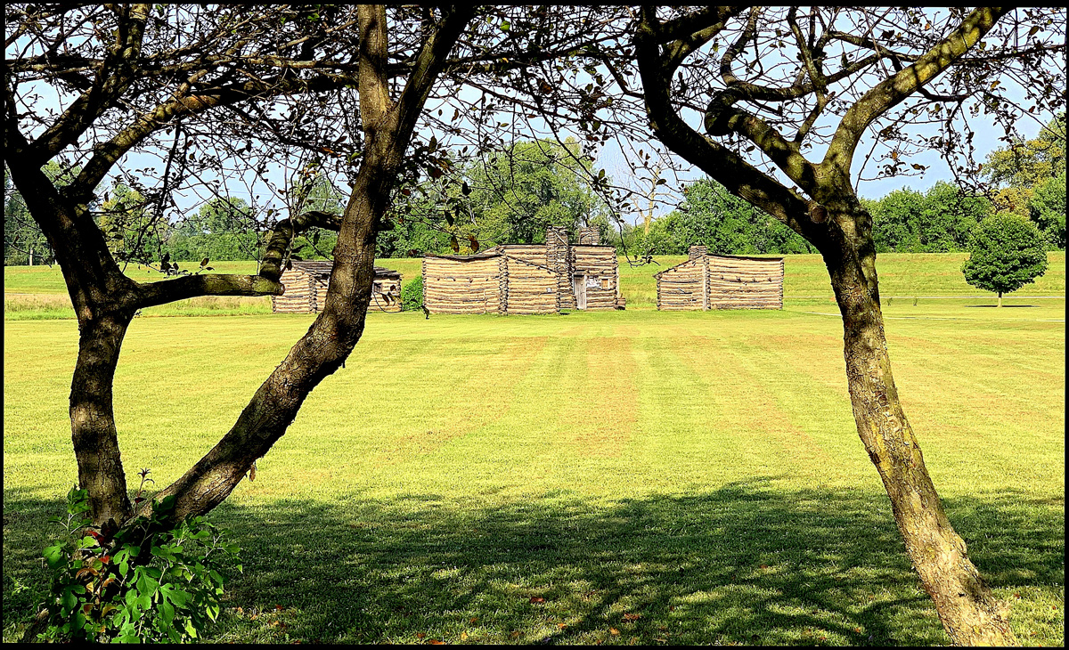 Photo contest picture: not available