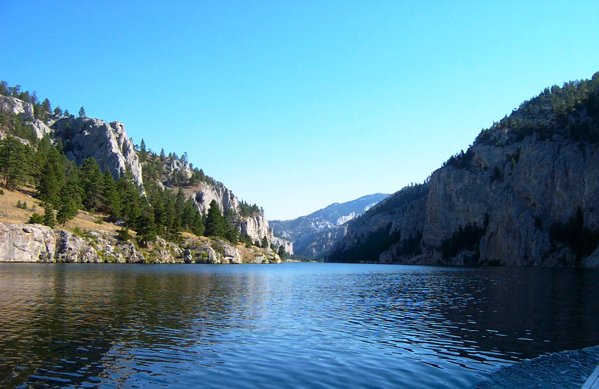 Photo contest picture: not available