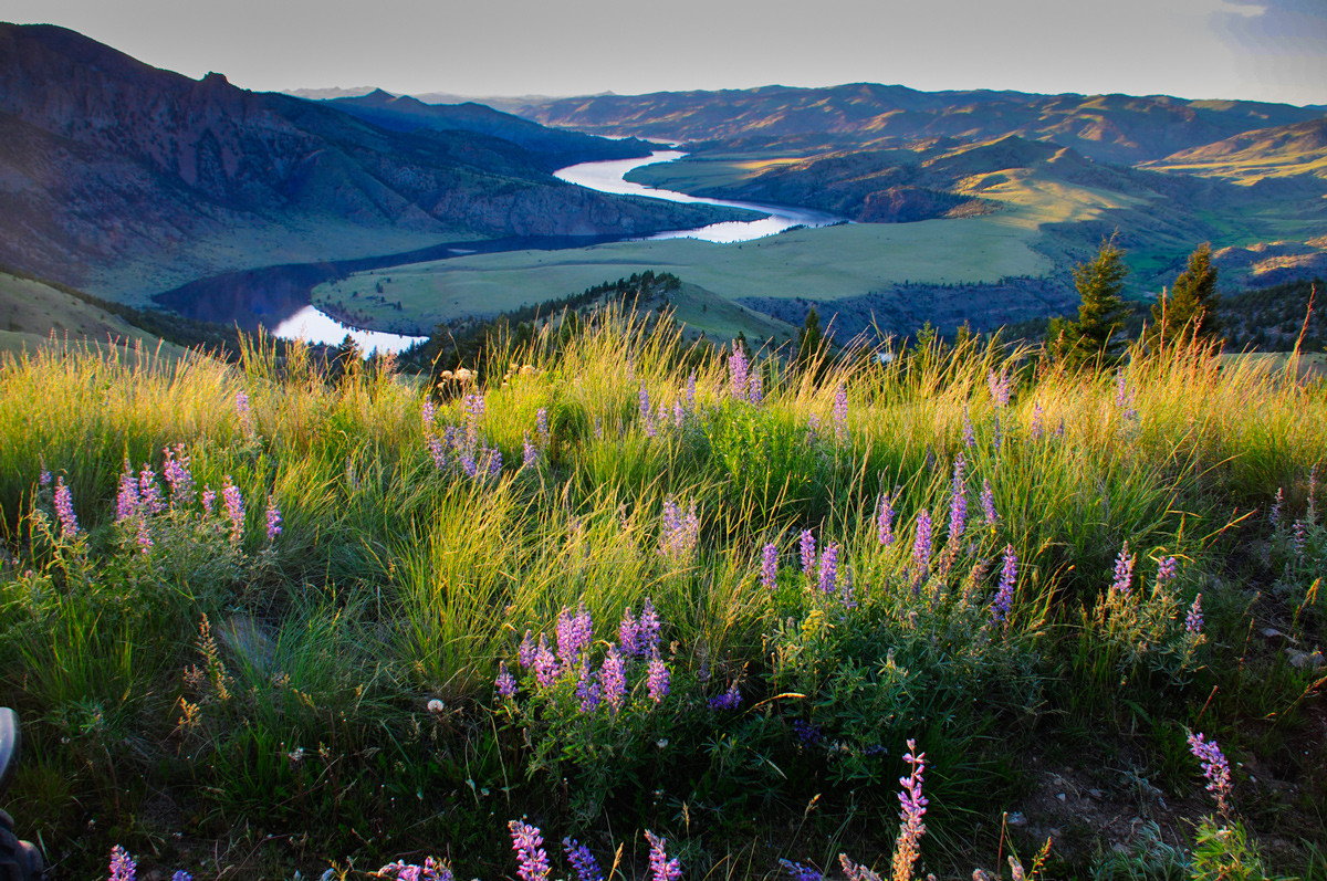 Photo contest picture: not available