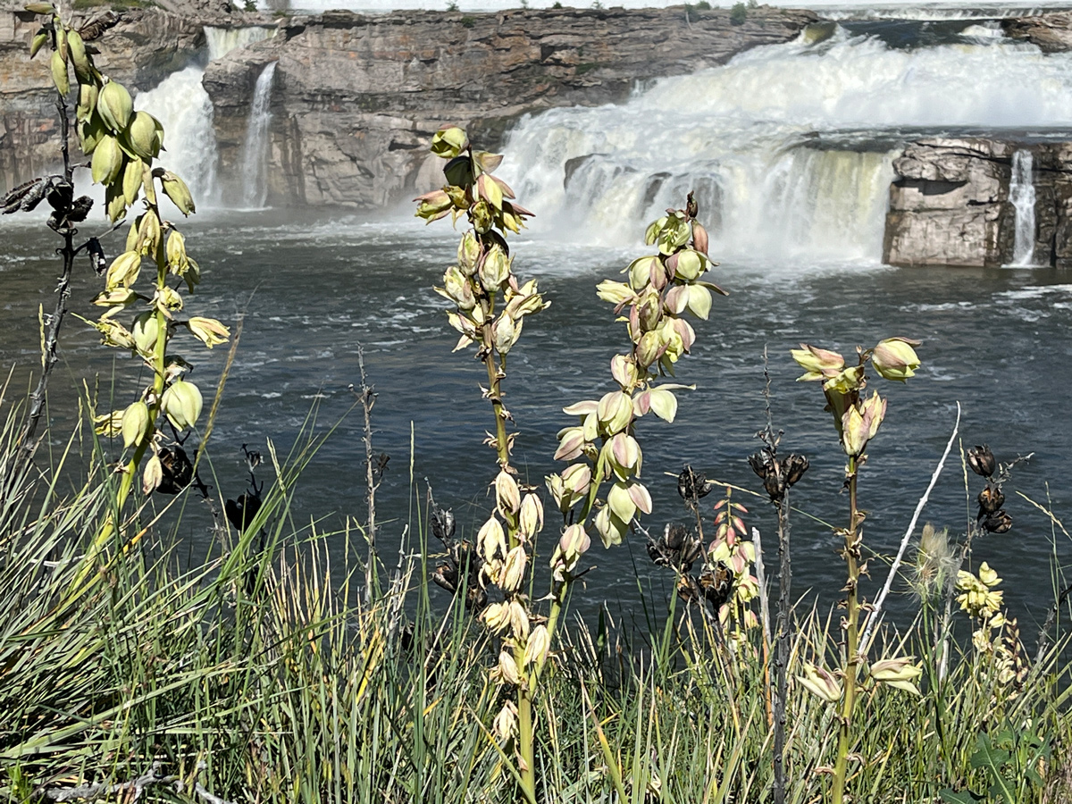 Photo contest picture: not available