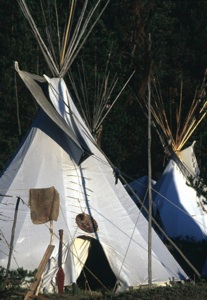 white teepee